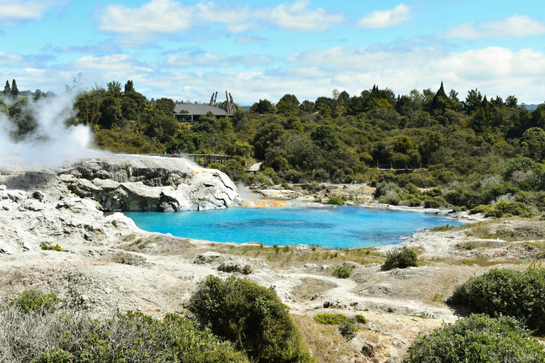 Auckland: Private Tours and Transfers with Driver Auckland: Private Tours and Transfers