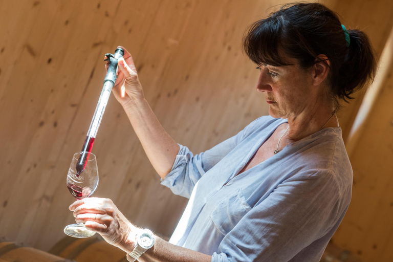 Pila-Canale: Besuch des Weinkellers und Weinprobe der Domaine de Pratavone