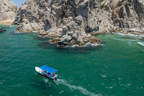 Los Cabos: Whale Watching and Safari