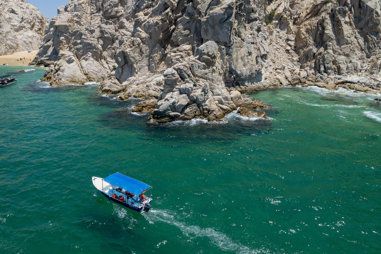 Los Cabos: Whale Watching and Safari