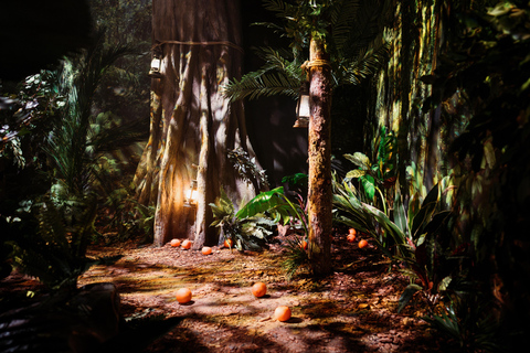 London: The Paddington Bear Experience