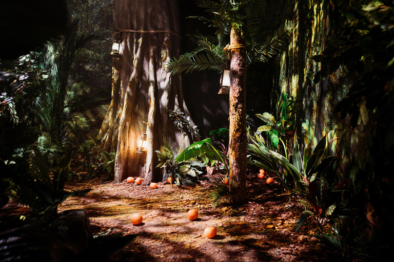 London: The Paddington Bear Experience