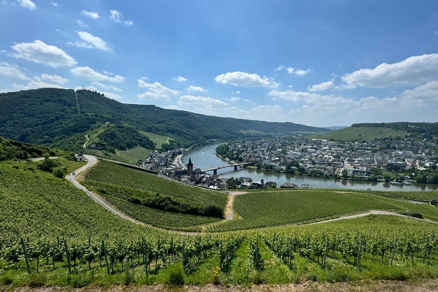 Bernkastel: 1-hour panoramic boat tour Lieser, Mülheim and back