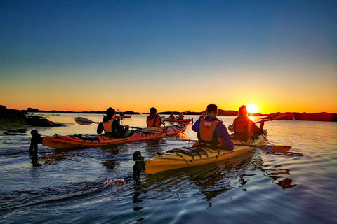 إيجوم: جولة جزر لوفوتن منتصف الليل صن كاياك