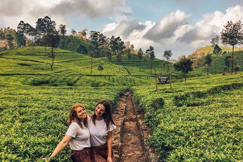 Kandy to Yala Transfer With Hidden Stops & Spice Garden