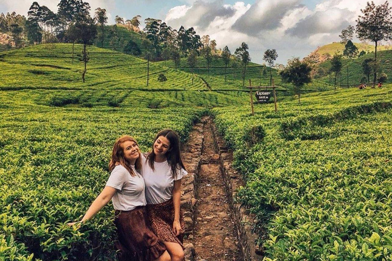 Kandy to Yala Transfer With Hidden Stops & Spice Garden