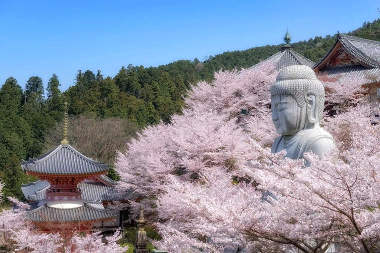 Osaka/Kyoto: Private Nara Day Trip with Guide and Luxury Van