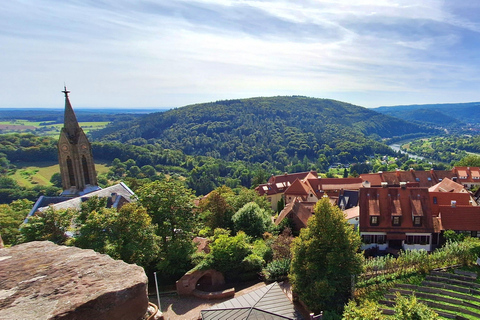 Heidelberg: Neckar River, Cave, Odenwald – Active Highlights Discovery Tour