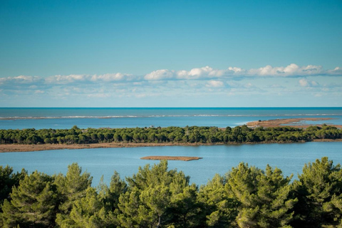 Tirana/Durres/Golem: Karavasta Lagoon Day Tour & Boat Trip!