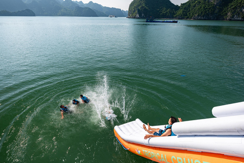 河内：下龙湾至兰哈湾 - 猫巴岛一日游从河内出发，乘坐豪华巴士（22 座）