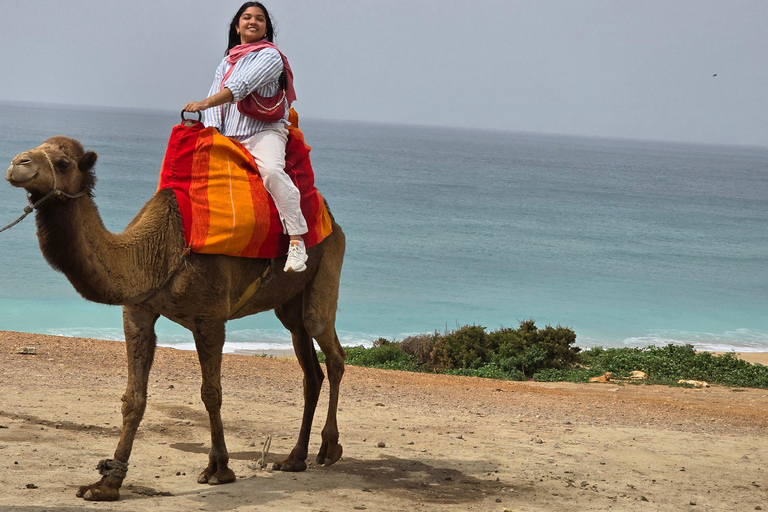 Tour particular em Tânger: Exploração e aventura em um passeio de camelo