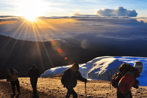 8 Dagen Beklim de Kilimanjaro via de Lemosho Route