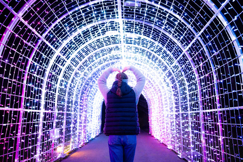 Leipzig: Ingresso para o Jardim de Natal