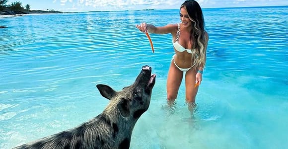 Nassau: Swimming Pigs of Rose Island Water Taxi