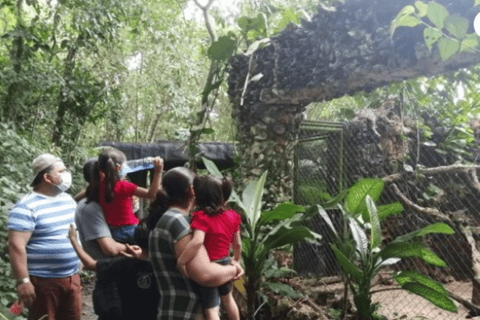 Zoological Park - Aluxes Palenque:Wildlife Conservation Tour