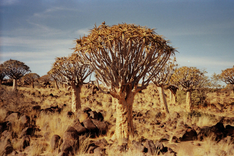 Namibia: Desert Tribe, Shipwreck Coast & Stargazing Tour