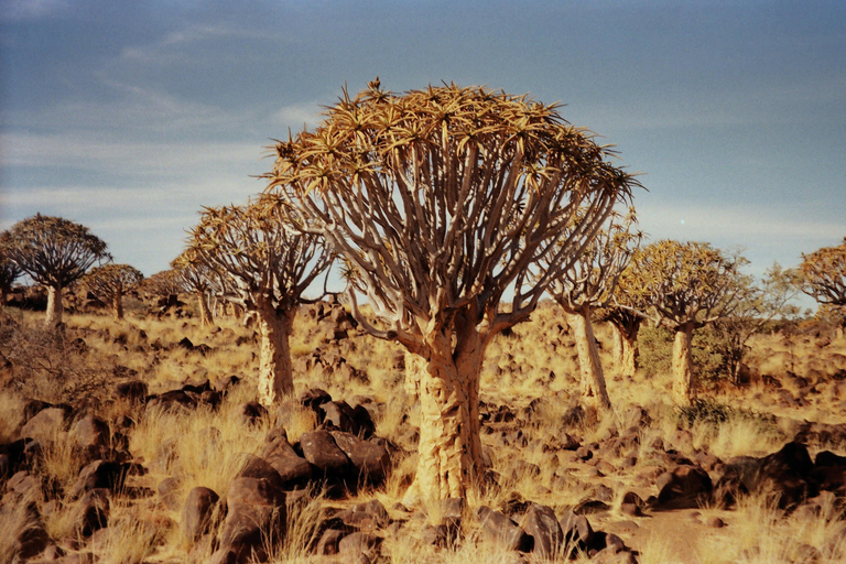 Namibia: Desert Tribe, Shipwreck Coast & Stargazing Tour