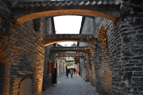 Tallinn Day Tour: Old Town Legends, Lunch & Modern Sights
