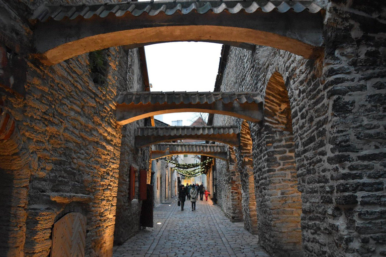 Tallinn Day Tour: Old Town Legends, Lunch & Modern Sights