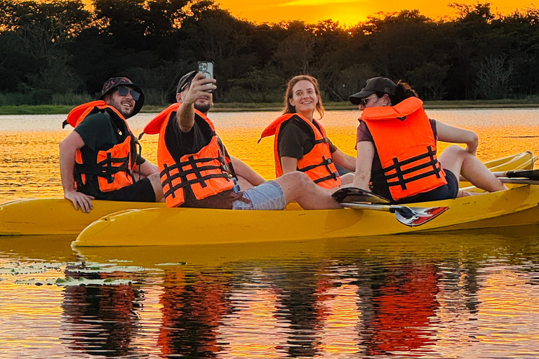 Minneriya: Private Jeep Safari & Guided Kayak Experience