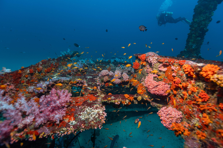 Colombo: Shipwreck Diving Experience within the city