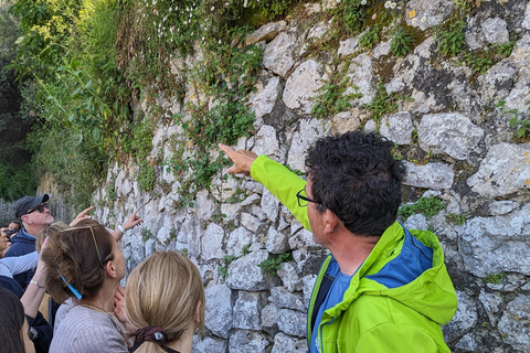 PATH OF THE GODS with NINO Expert local Guide free transport