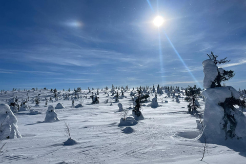 Ruka: Riisitunturi National Park with lunch.