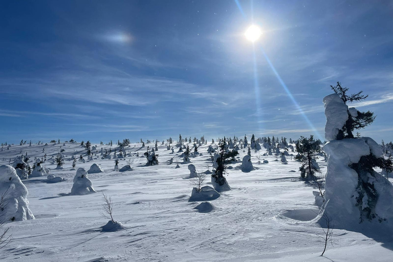 Ruka: Riisitunturi National Park with lunch.