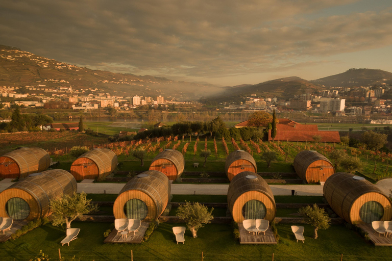 Transfer to Quinta da Pacheca (douro) Primium Sedan (up to 2 Pax)