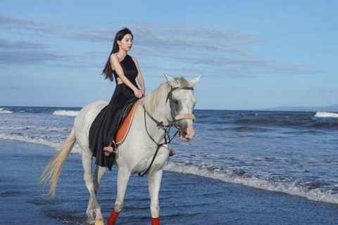 Bali: Saba Beach Horse Riding and Wine Tasting Tour Horse Riding 60 Minute meet in Our location