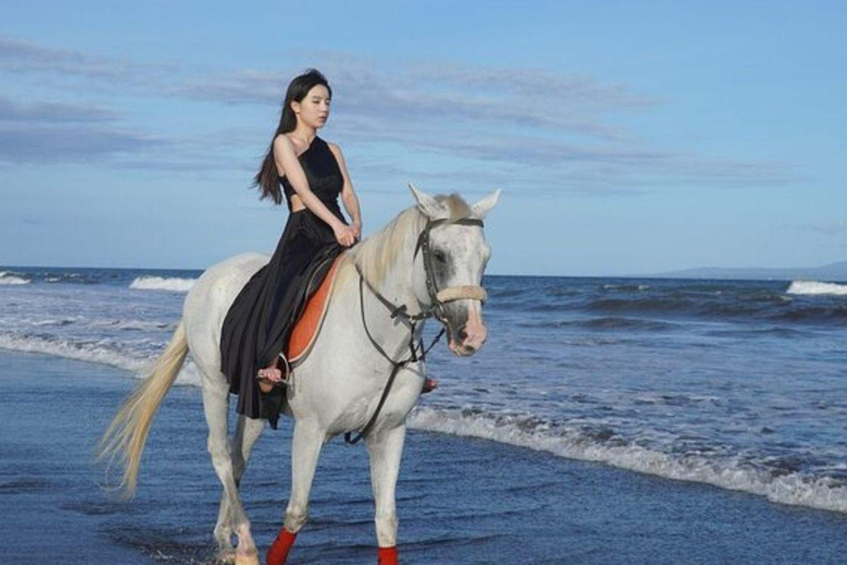Bali: Saba Beach Horse Riding and Wine Tasting Tour Horse Riding 60 Minute meet in Our location