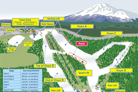 From Tokyo: Fujiyama Snow Resort Yeti Winter Ski Day TourB (SKI + LIFT PASS): meeting at Shinjuku