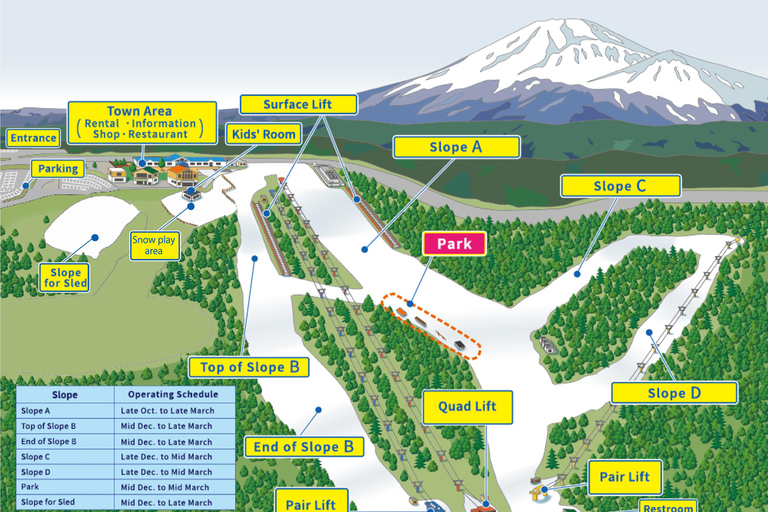 From Tokyo: Fujiyama Snow Resort Yeti Winter Ski Day Tour B (SKI + LIFT PASS): meeting at Shinjuku