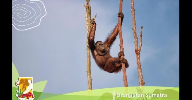 Visit Bintan Safari Lagoi + Honey & Eco Farm Tour in Batam, Indonesia
