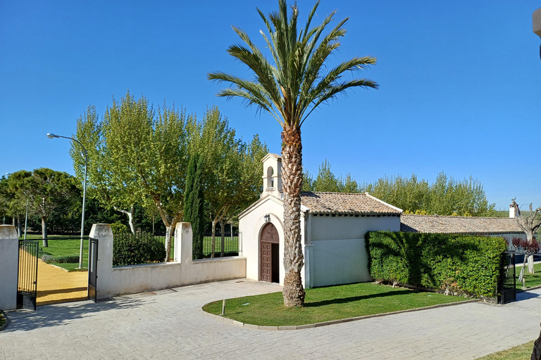 Toledo: Casa del Valle Winery Tour and Wine Tasting