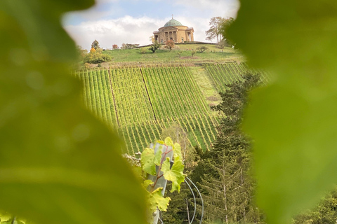 Stuttgart: Paseo guiado y cata de vinosExcursión desde Stuttgart-Feuerbach