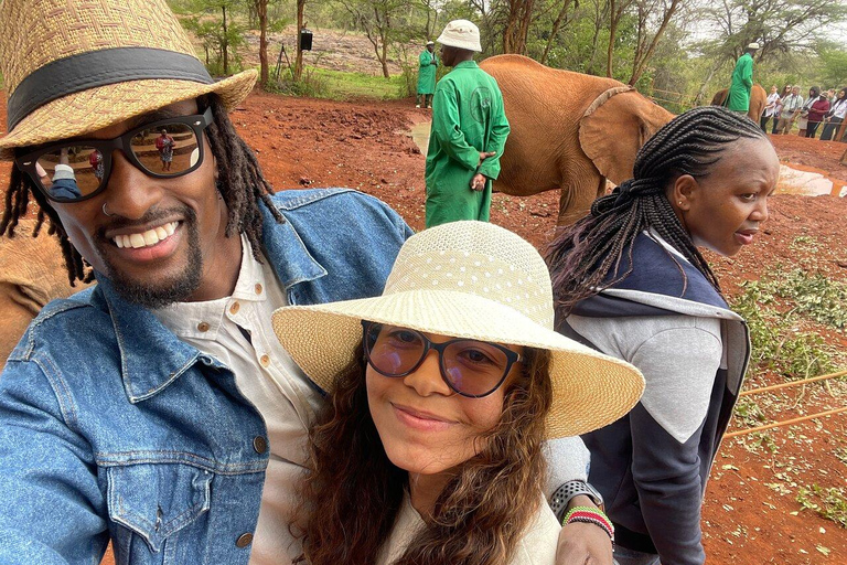 Nairobi: National Park, Baby Elephant, & Giraffe Center Tour