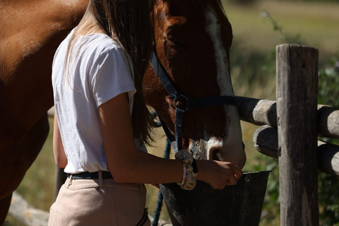 Horse Sanctuary in Rome Elevating the Ride: Summer in the Simbruini Mountains