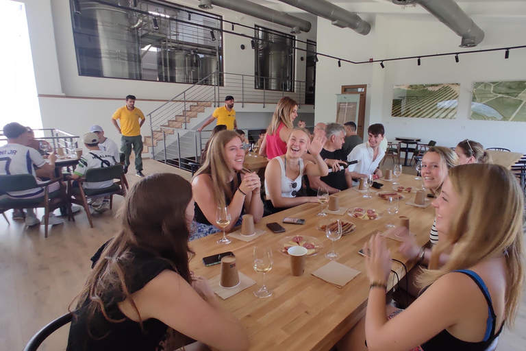 Från Heraklion: Guidad jeepsafari med vingårdsbesök och lunchFrån Heraklion: Guidad jeep-safari med vingårdsbesök och lunch