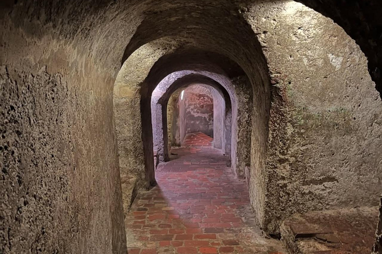 Cartagena: Private Cultural & Historical City Tour