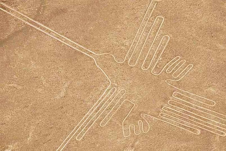 From Ica: Flight over the Nazca Lines