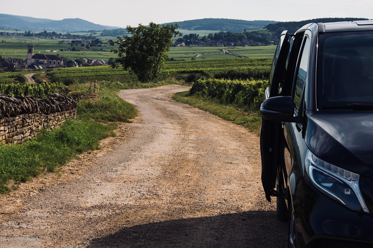 Côte de Nuits: 2h30 excursion among the vines