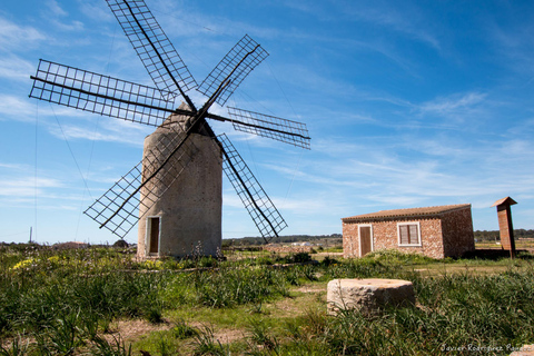 Formentera: Discover our Fast Ferry + e-Bike Package Formentera: discover our fast ferry + electric bike package