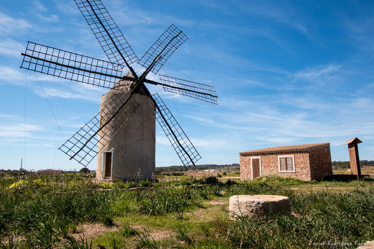 Formentera: Discover our Fast Ferry + e-Bike Package Formentera: discover our fast ferry + electric bike package