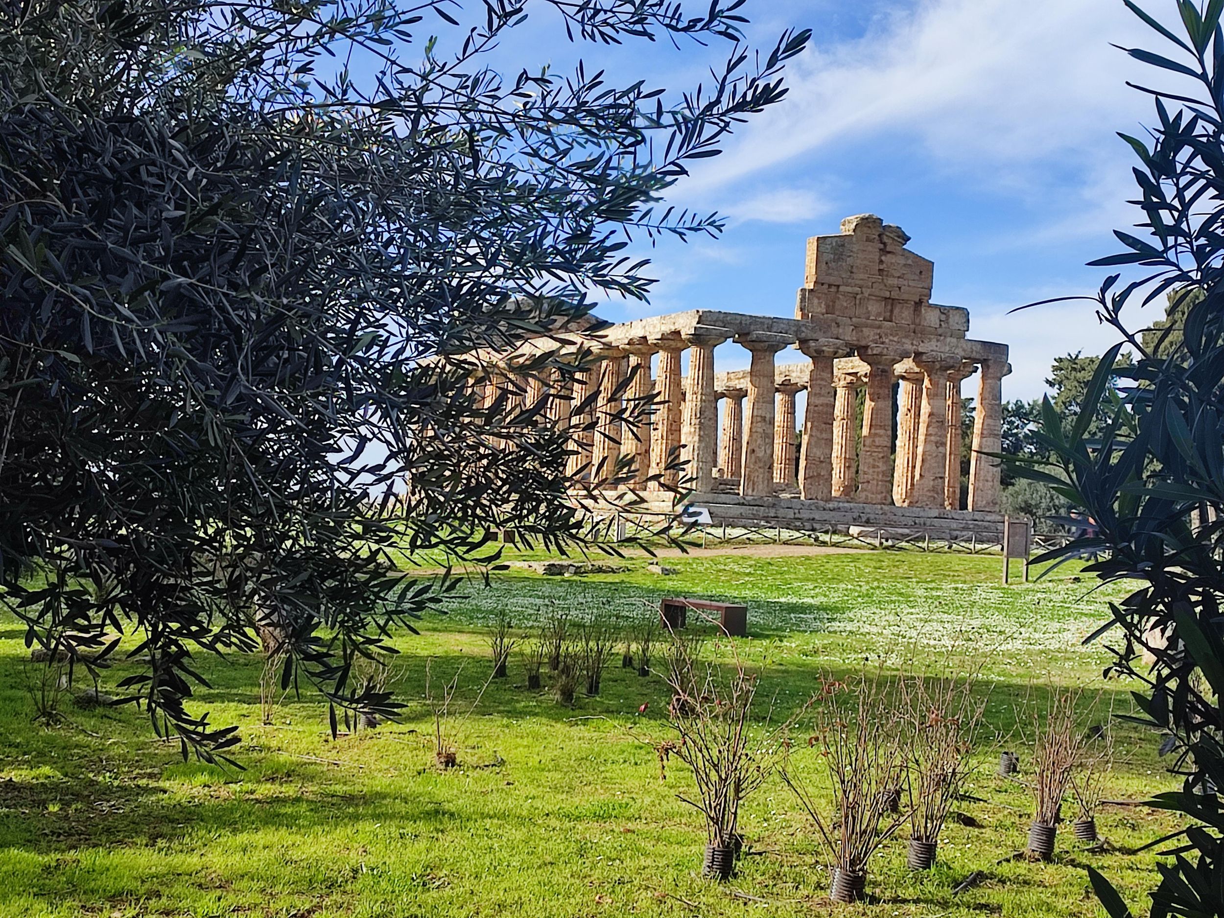 Paestum: Archäologischer Park und Museum – Führung