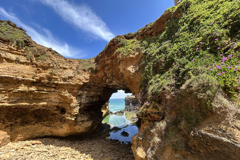 2-Day Private Premium Great Ocean Road Tour