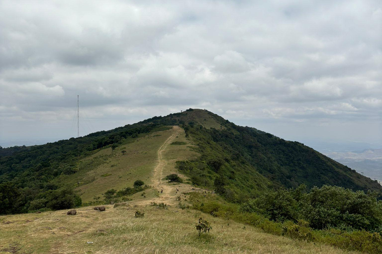 Nairobi : Randonnée dans les collines de Ngong avec transport et guide