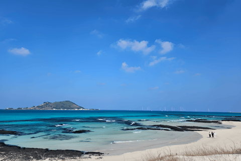 Jeju Occidental y Meridional: Excursión al Festival de la Hortensia
