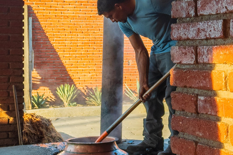 Mezcal, Agave, and Pulque Tour in Oaxaca