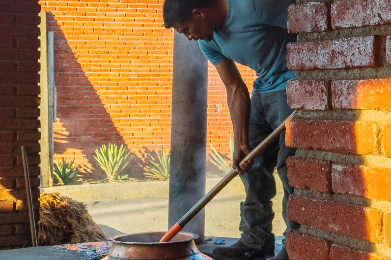 Mezcal, Agave, and Pulque Tour in Oaxaca